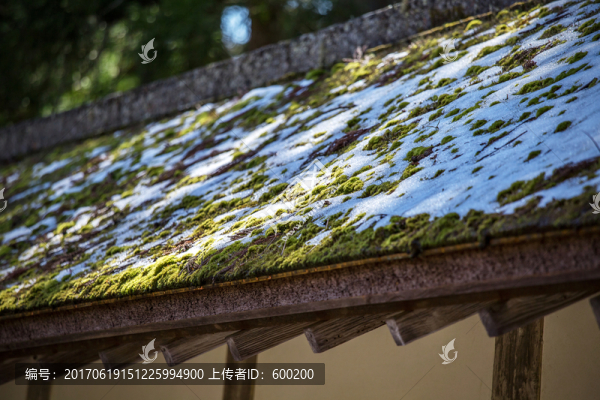 日本高野山金剛峰寺屋檐積雪