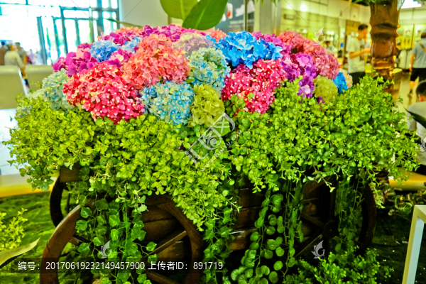 植物墻,植被墻