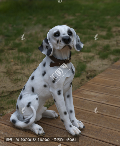 斑點(diǎn)狗