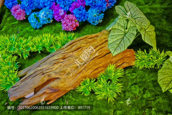植物墻,植被墻
