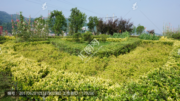 公園風(fēng)光