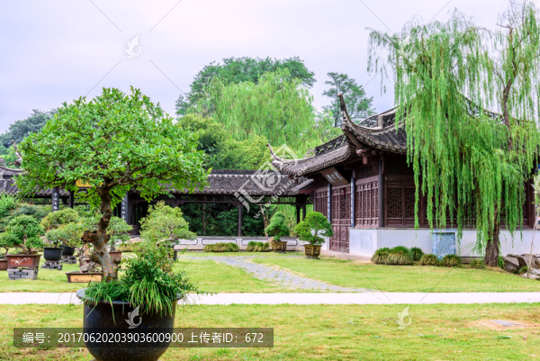 庭院