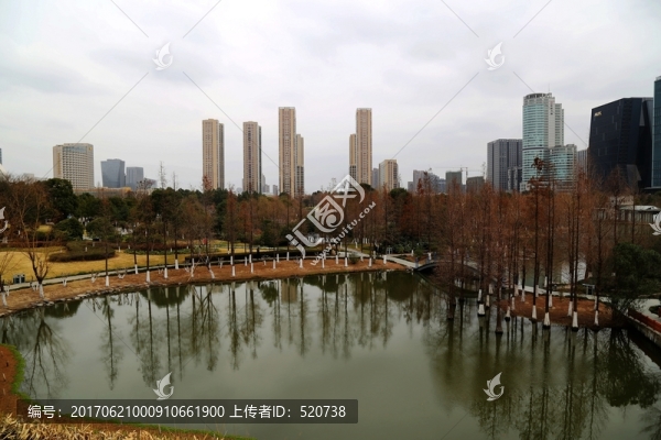 城市,園林,湖水,樹(shù)林,高樓