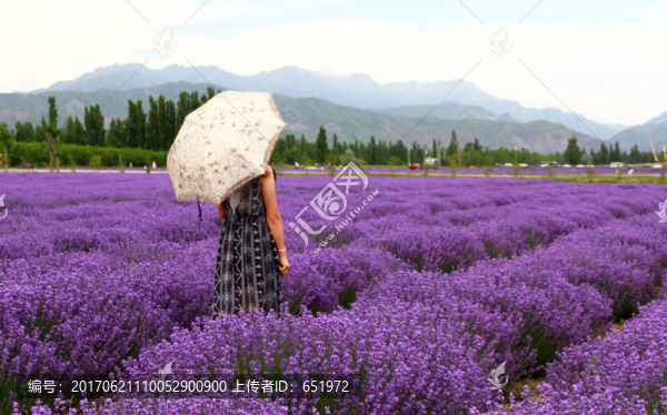 打傘的美女