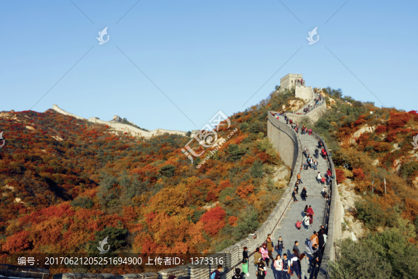八達嶺紅葉