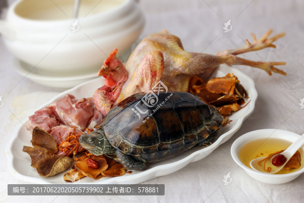 烏龜煲老雞