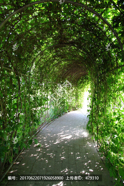 植物園,哈爾濱,太陽島,公園