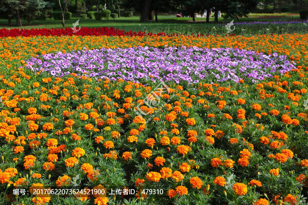 植物園,哈爾濱