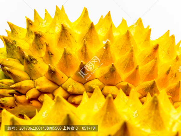 榴蓮,高清大圖