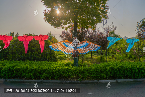 風箏展覽,風箏景觀