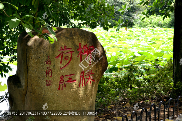 深圳洪湖公園