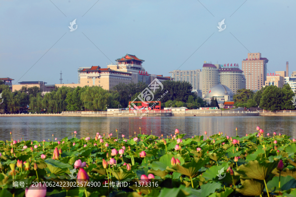 蓮花池公園景觀