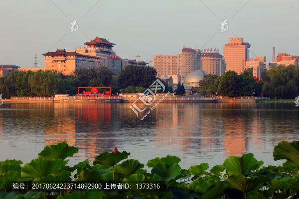 蓮花池景觀