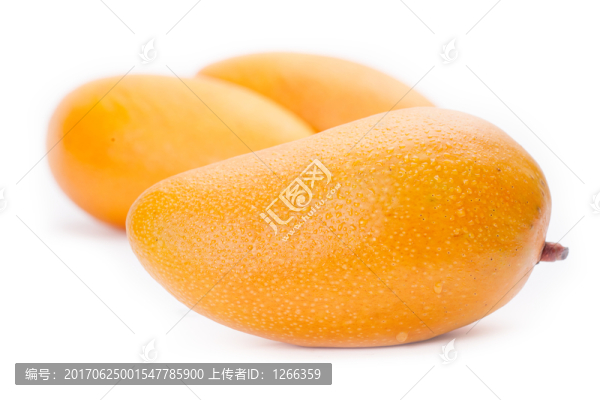 芒果