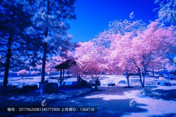 紅外姚城美景