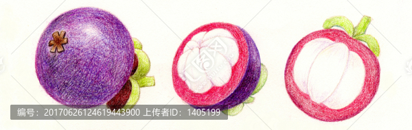 彩鉛水果山竹