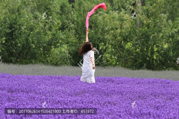 白衣少女