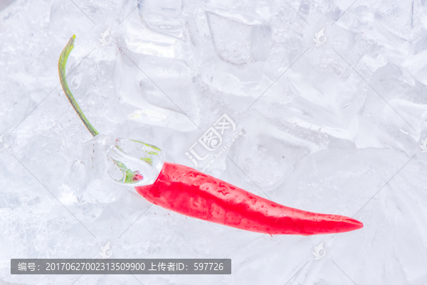 新鮮紅辣椒,冰雪背景