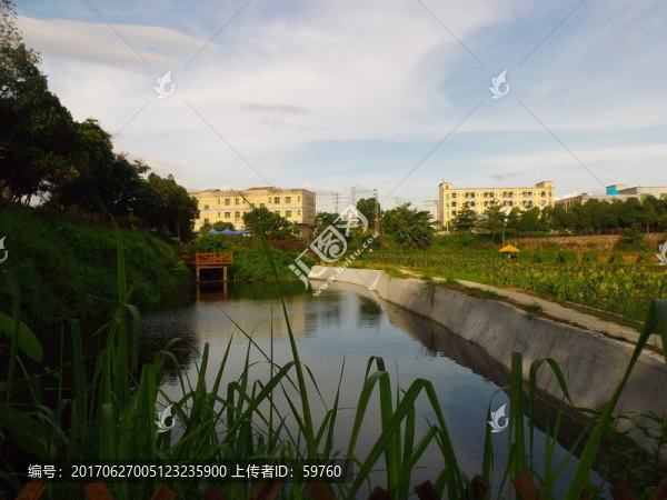 池塘風(fēng)景