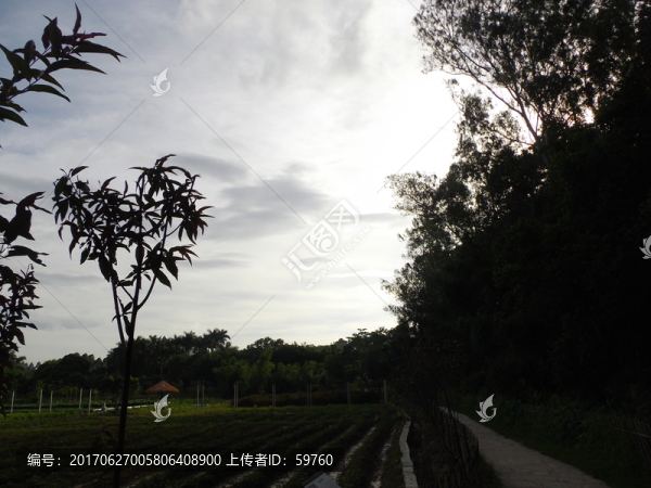 夕陽暮色
