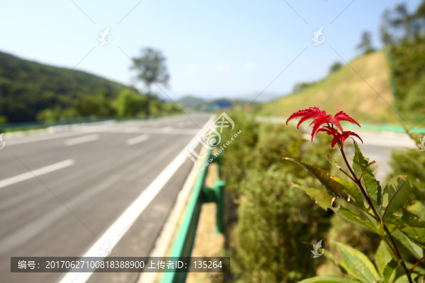 高速公路,高速,公路,交通,路