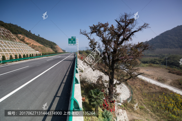 高速公路,高速,公路,交通,路