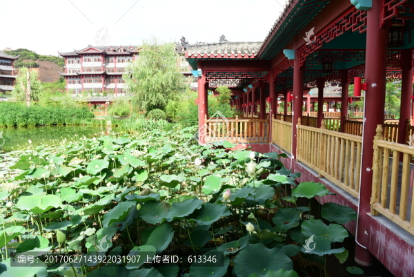 荷花池公園亭子