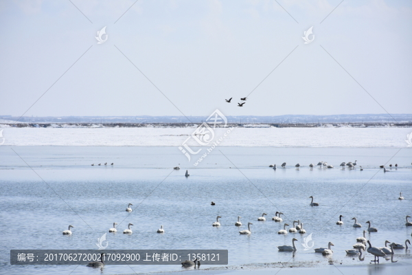天鵝湖