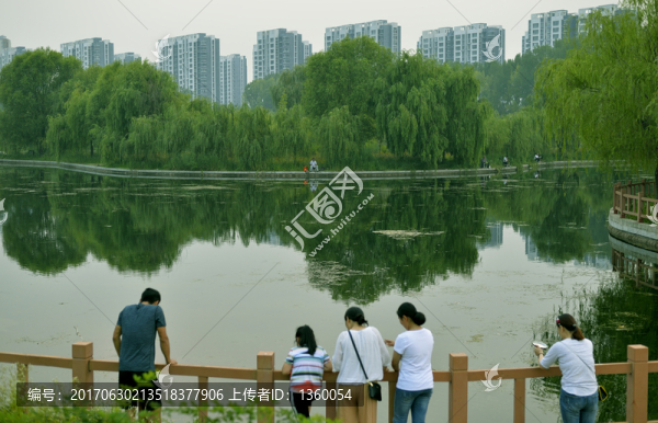 園林,風(fēng)景