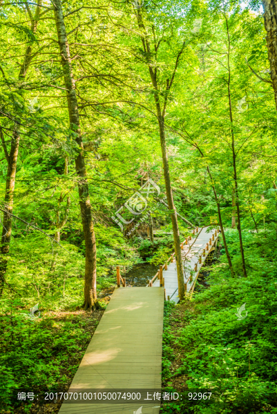 長白山瀑布景區(qū)
