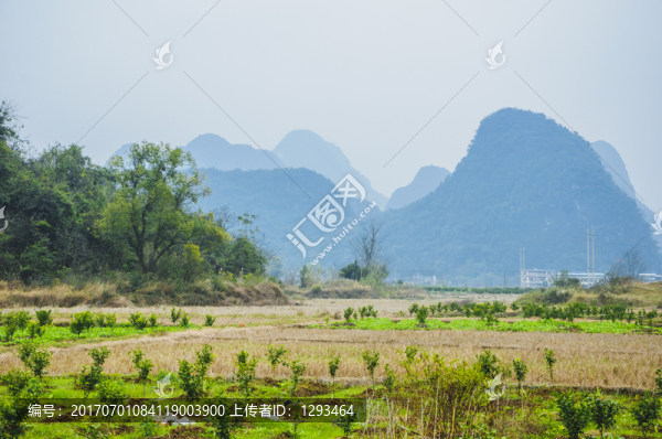 鄉(xiāng)村秋色
