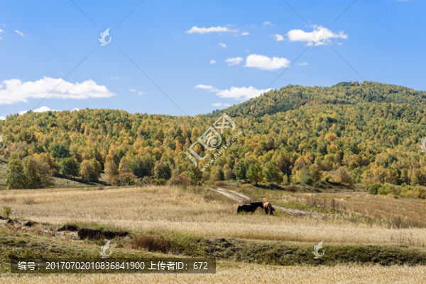 蛤蟆壩附近山丘秋景