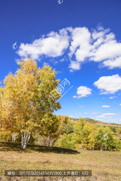 蛤蟆壩附近山丘秋景
