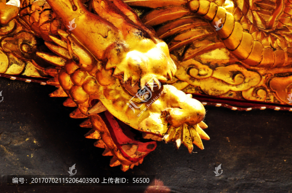 一條龍