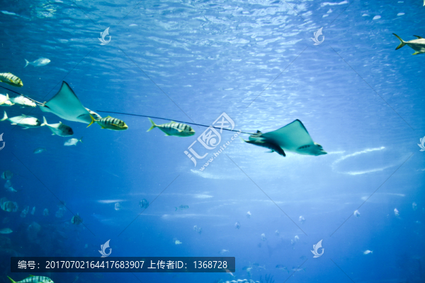 長隆海洋館