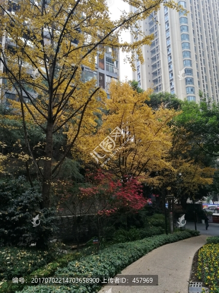 小區(qū)景觀