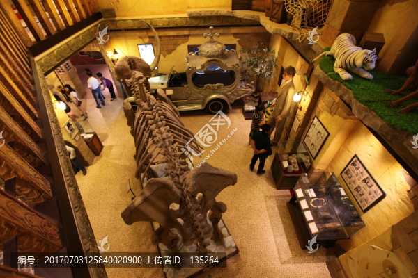 濟州,韓國,旅游,博物館,展覽