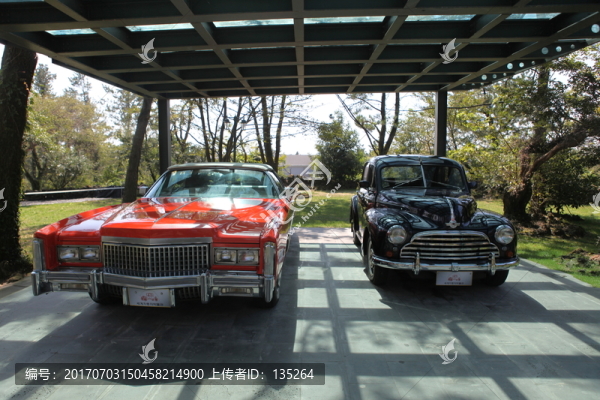 濟(jì)州,濟(jì)州島,韓國(guó),旅游,汽車