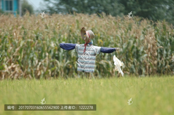稻草人