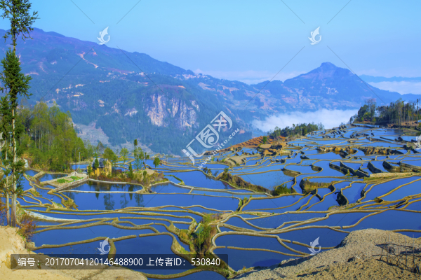 元陽梯田