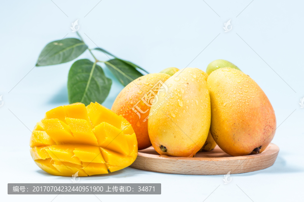 芒果素材高清