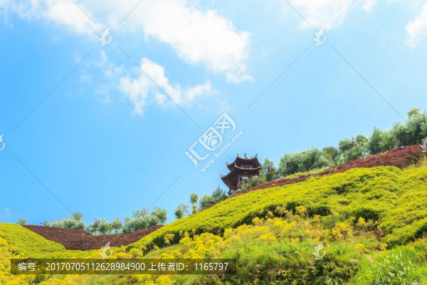 草地,樹木,藍(lán)天