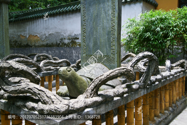 駝龜
