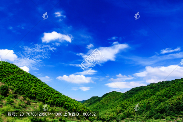 竹林風(fēng)景,綠樹青山