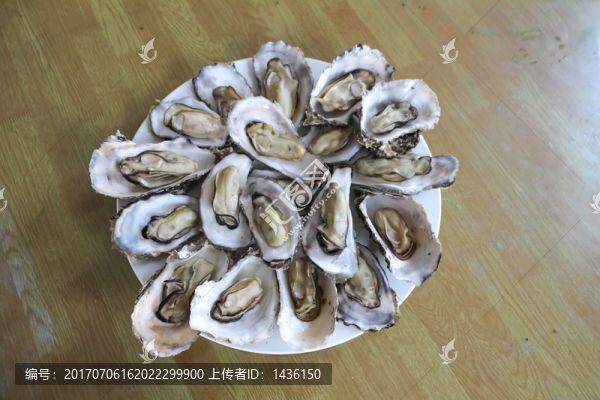 生蠔,,牡蠣