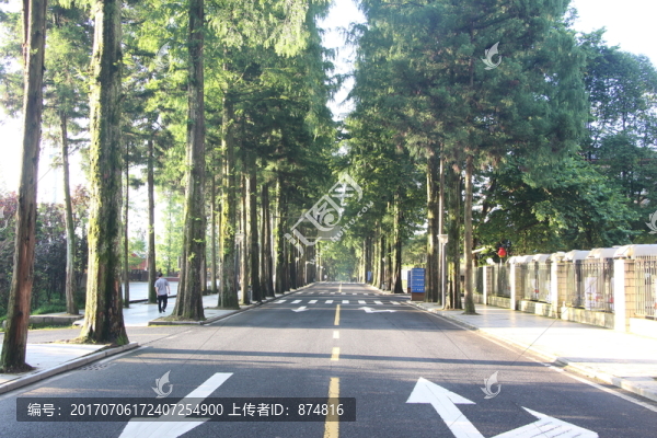 林間道路