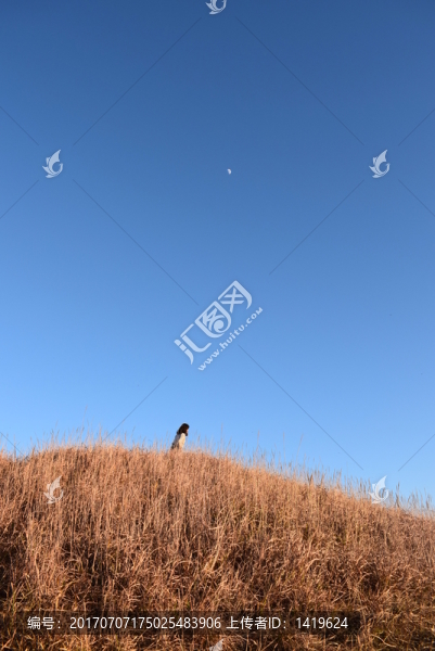 月亮在哪里