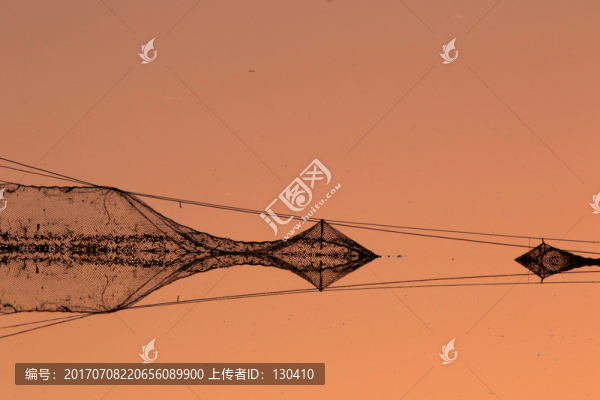 漁網(wǎng)