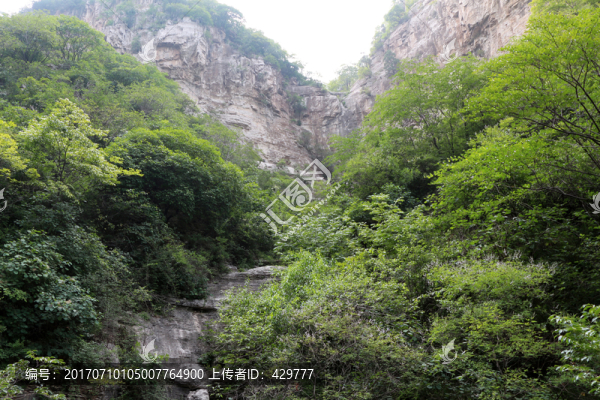 大山風(fēng)景,,,山林綠化