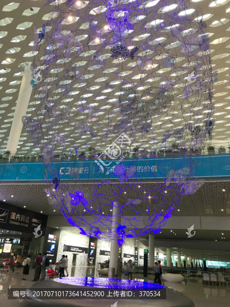 深圳機場,航站樓,機場,航空